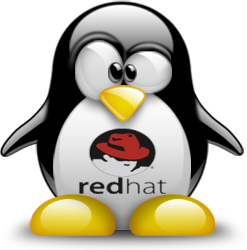 penguin pingouin pinguino 931